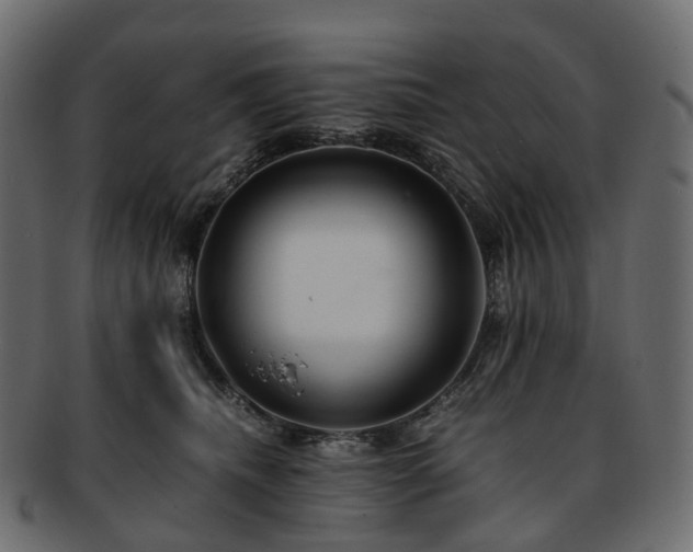 X0000093230468200710031502