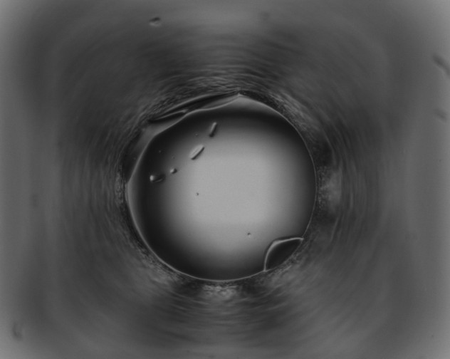 X0000093230469200710031502