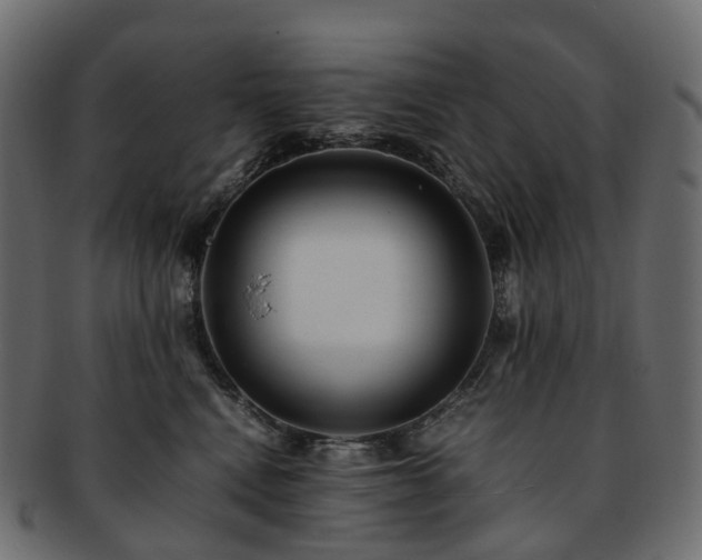 X0000093230472200710031502