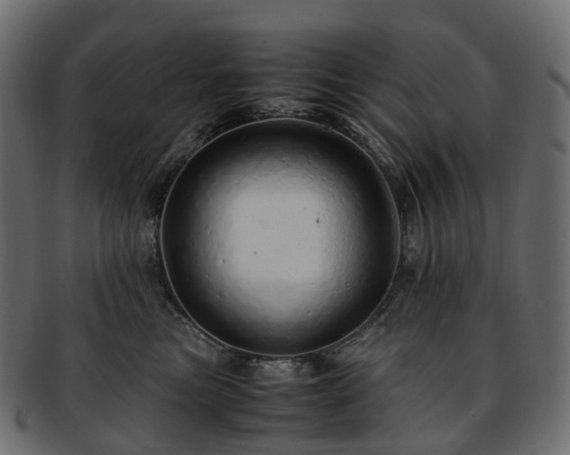 X0000093230473200710031502