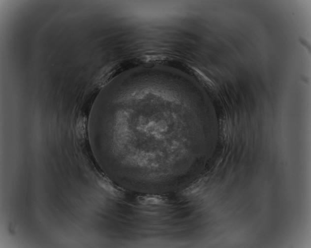 X0000093230475200710031502