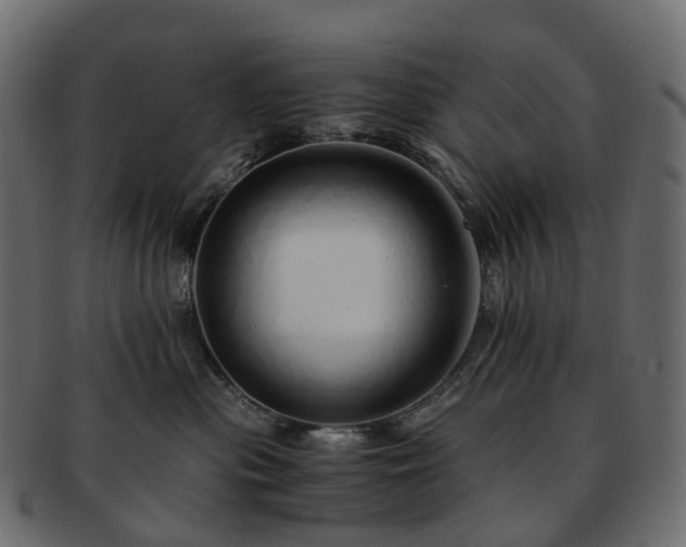 X0000093230477200710031502