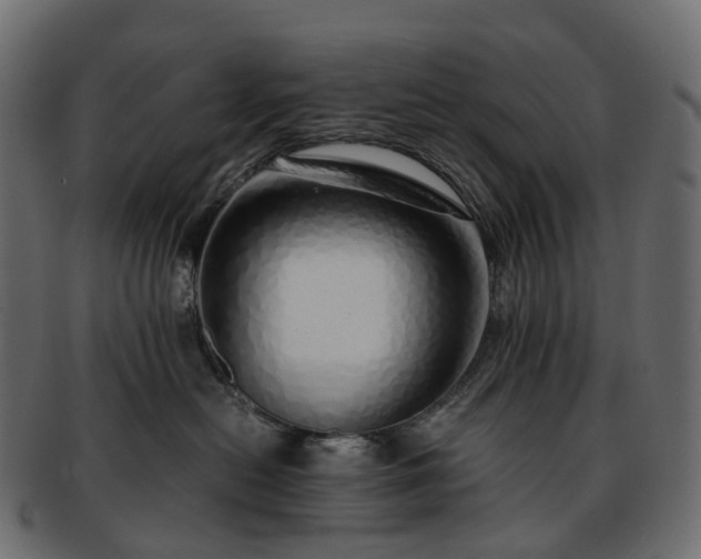 X0000093230478200710031502