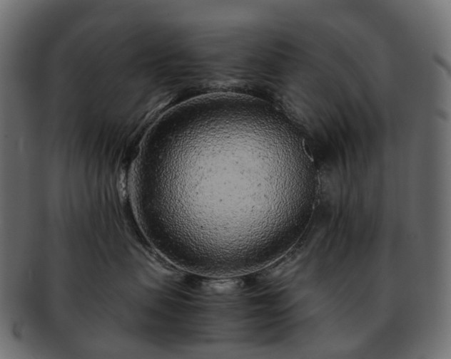 X0000093230479200710031502