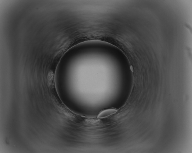 X0000093230480200710031502