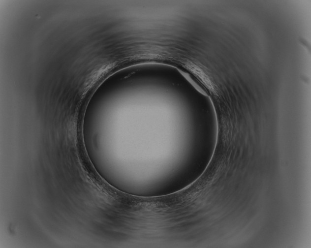 X0000093230482200710031501