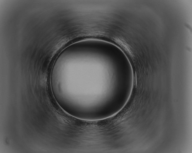 X0000093230483200710031501