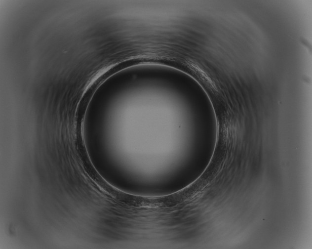 X0000093230484200710031501