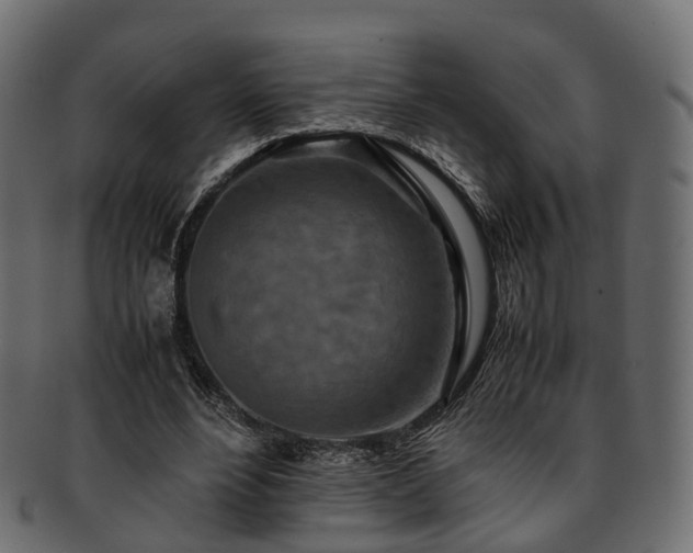 X0000093230488200710031501