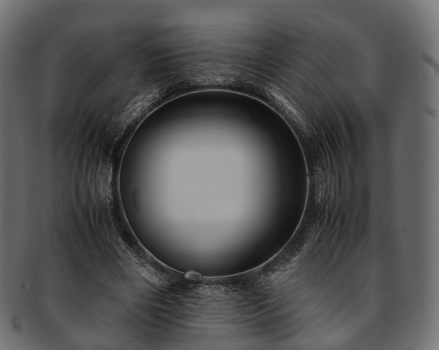 X0000093230490200710031501