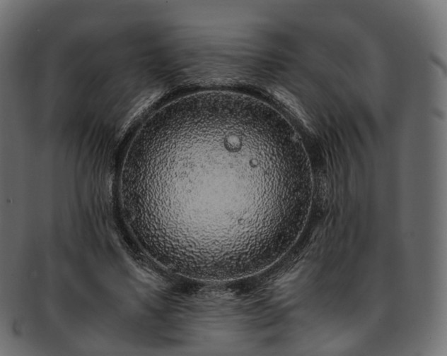 X0000093230491200710031501