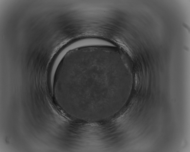 X0000093230492200710031501