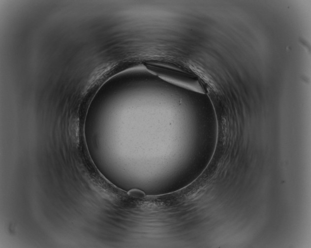 X0000093230494200710031501