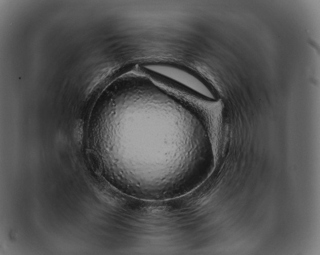 X0000093230495200710031501