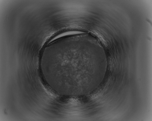 X0000093230496200710031501