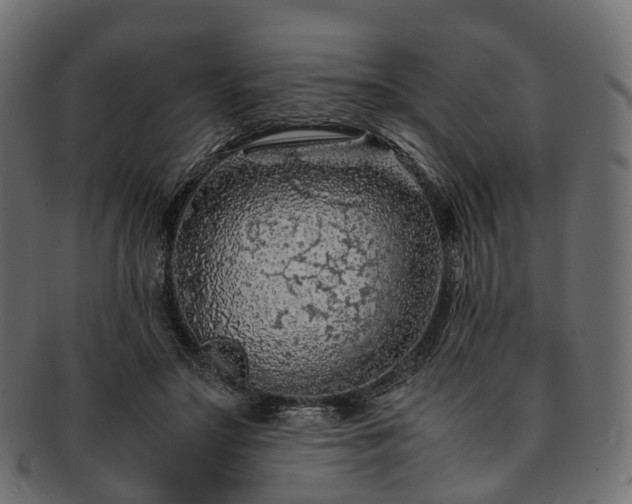 X0000093230499200710031501