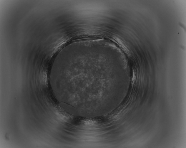 X0000093230500200710031501