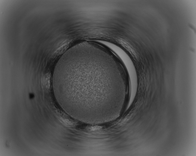 X0000093230501200710031501