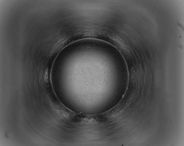 X0000093230502200710031501