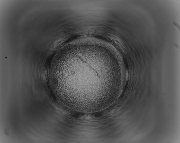X0000093230503200710031501
