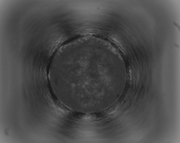 X0000093230504200710031501