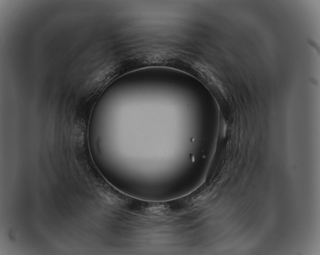 X0000093230505200710031501