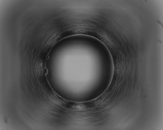 X0000093230506200710031501