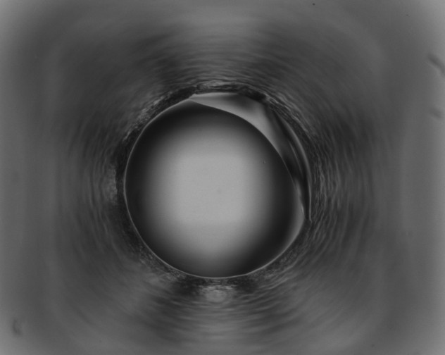 X0000093230508200710031501