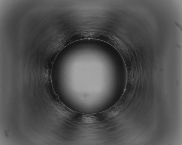 X0000093230510200710031501