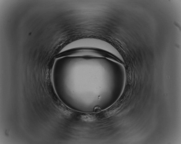 X0000093230511200710031501