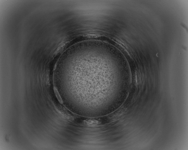 X0000093230512200710031501