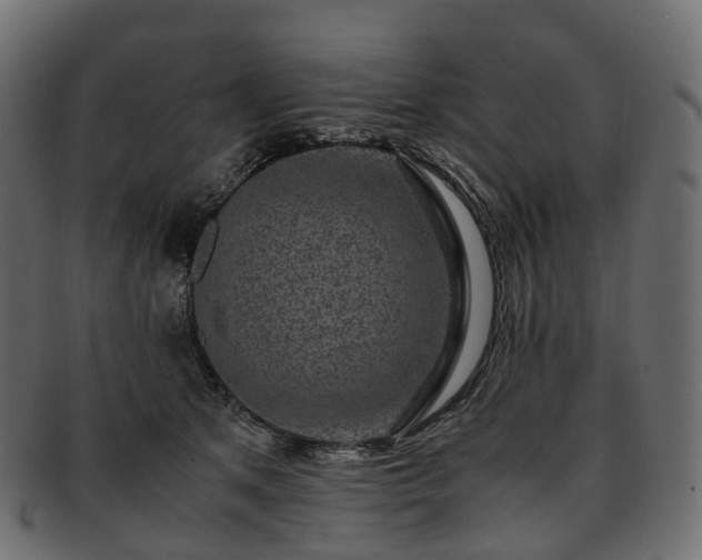 X0000093230513200710031501