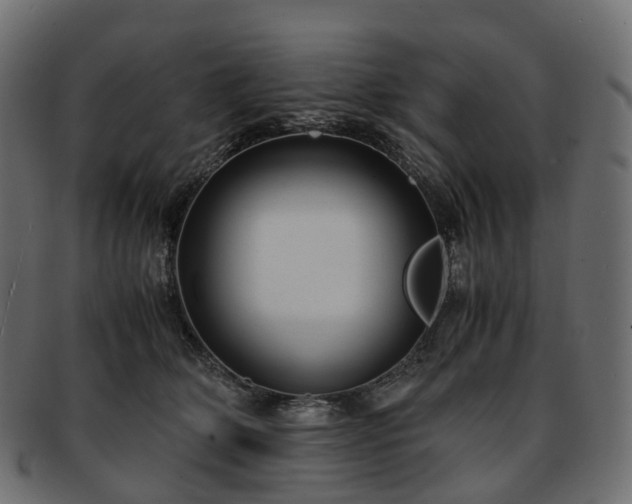 X0000093230514200710031501