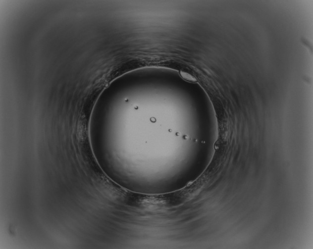 X0000093230515200710031501