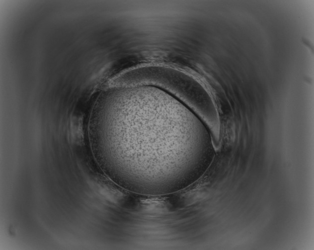 X0000093230516200710031501