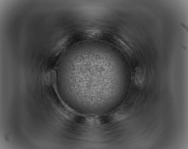 X0000093230520200710031501