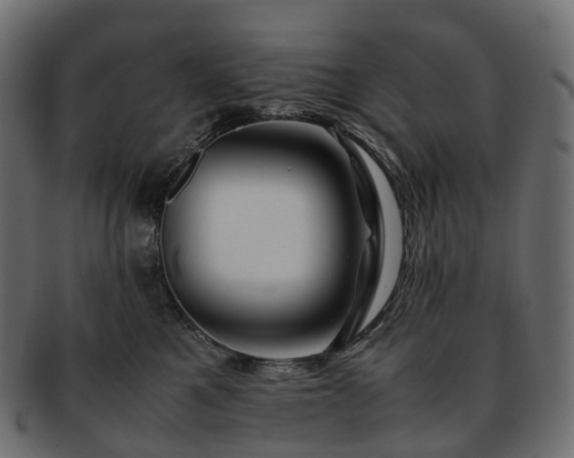 X0000093230521200710031501