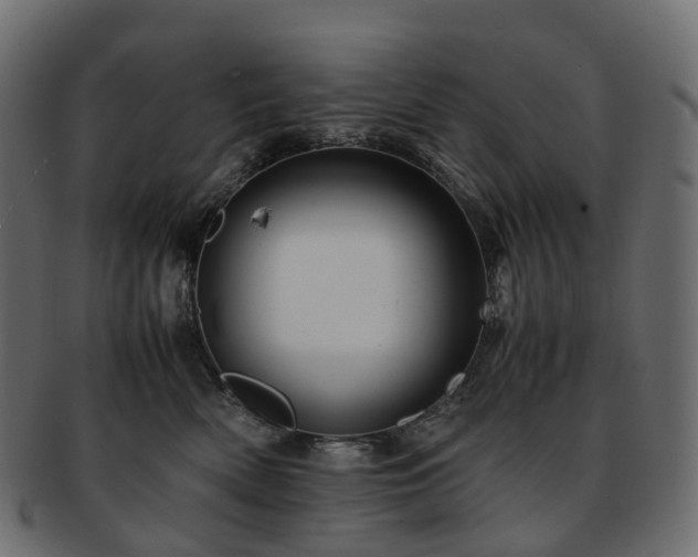 X0000093230522200710031501