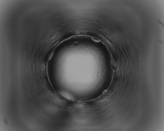 X0000093230523200710031501