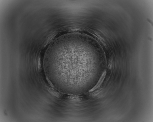 X0000093230524200710031501