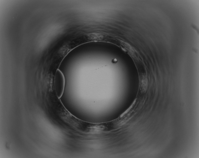 X0000093230525200710031501