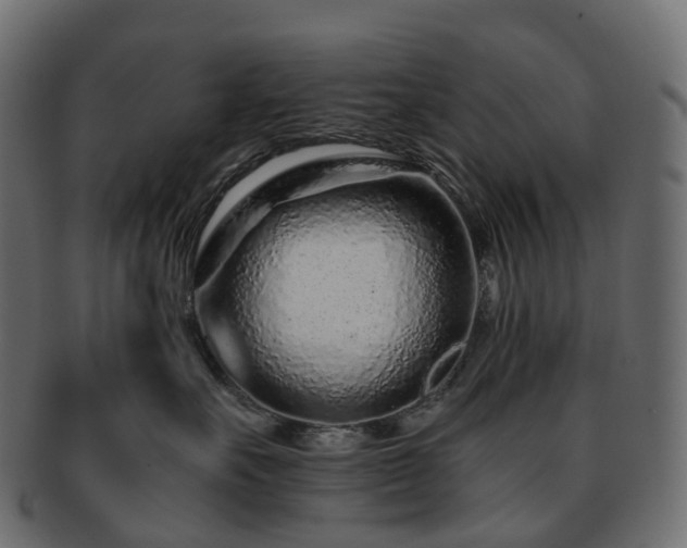 X0000093230527200710031501