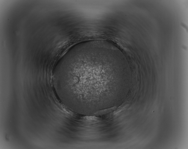 X0000093230528200710031501