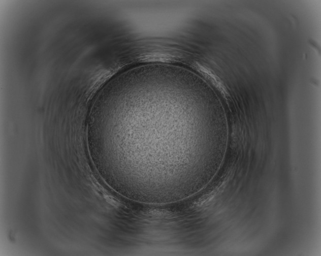 X0000093230529200710031500