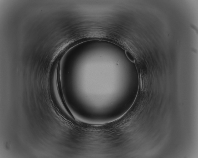 X0000093230531200710031500