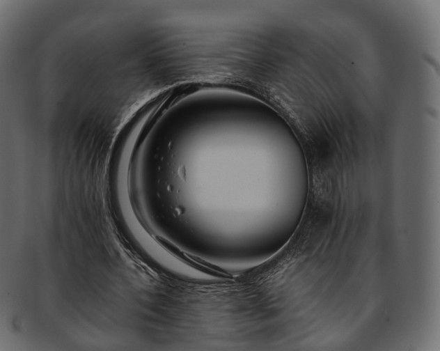 X0000093230532200710031500