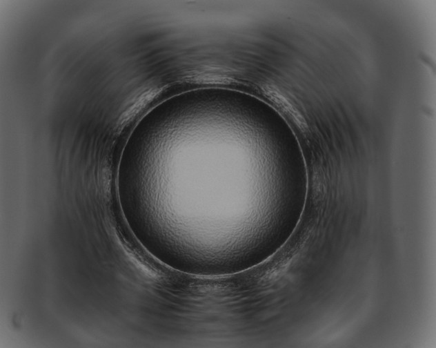 X0000093230533200710031500