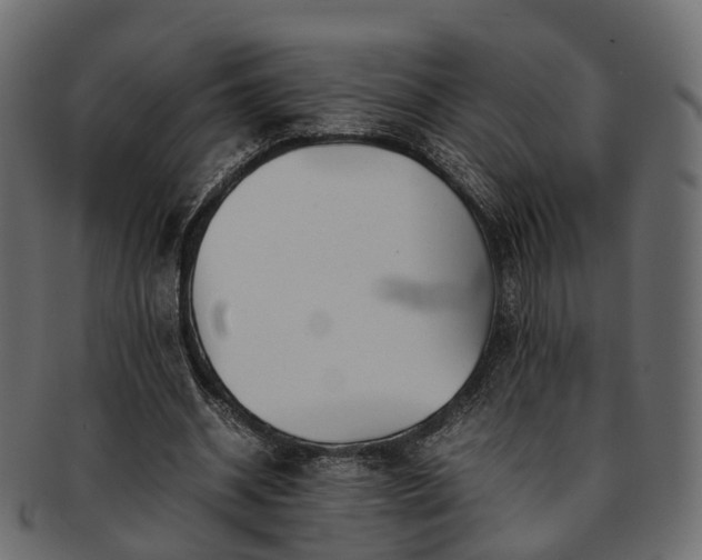 X0000093230534200710031500