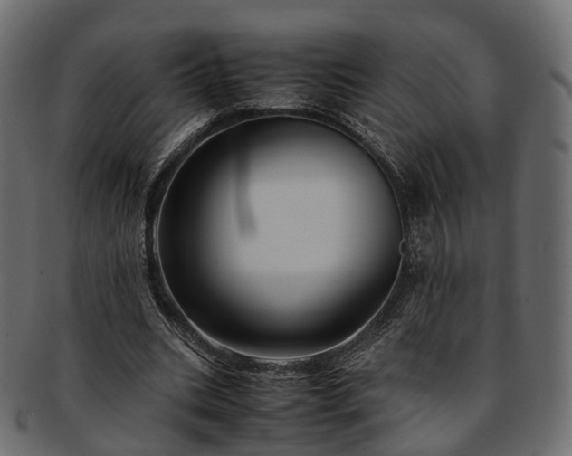 X0000093230535200710031500