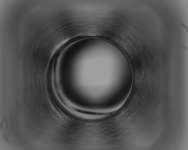 X0000093230536200710031500